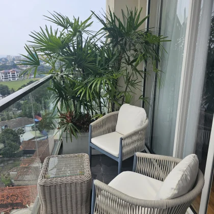 Transforming urban living into a plant paradise!