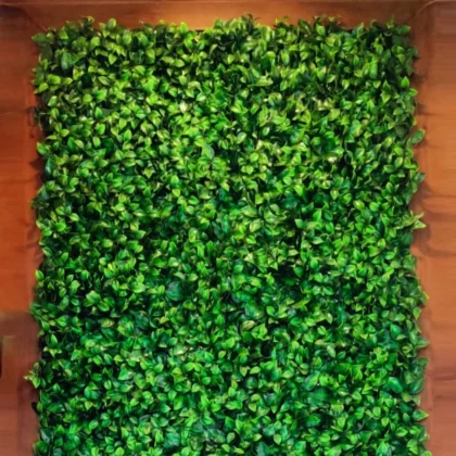 Moss Art Installation
