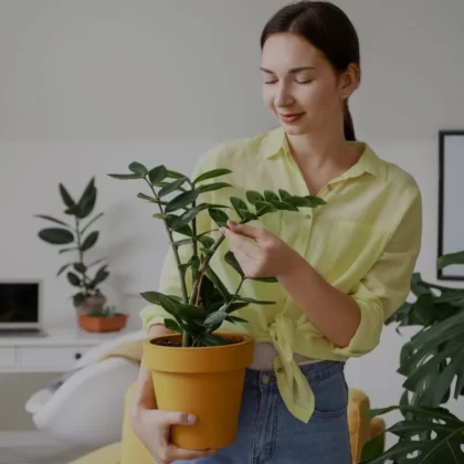 Plant Consultation Service