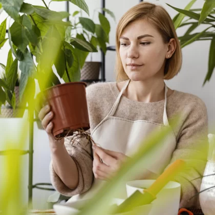 Plant Consultation Service