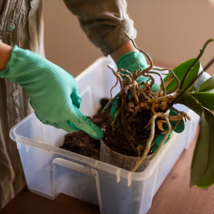 Plant Maintenance Service