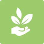 Plant Placement & Care