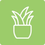 Tailored Recommendations